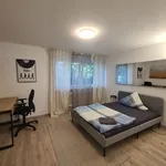 Rent 2 bedroom apartment of 58 m² in München