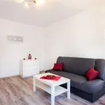 Rent 1 bedroom apartment of 27 m² in Łódź