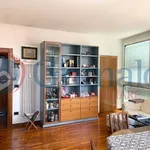 Rent 2 bedroom apartment of 60 m² in Padua