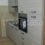 Rent 2 bedroom apartment of 50 m² in Frosinone