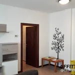 Affitto 2 camera appartamento di 60 m² in Verona