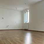 Miete 3 Schlafzimmer wohnung von 84 m² in Wiener Neustadt