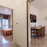 Rent 1 bedroom apartment in Milan