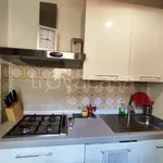 Rent 3 bedroom apartment of 96 m² in Roma