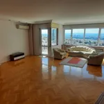 Rent 1 bedroom apartment of 2000 m² in Ankara