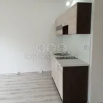 Rent 1 bedroom apartment in Chomutov