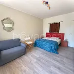 Rent 2 bedroom apartment of 55 m² in Treviso