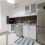 Rent 2 bedroom apartment of 109 m² in lisbon