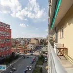 Rent 2 bedroom apartment of 45 m² in Milan