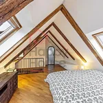 Rent 4 bedroom apartment of 221 m² in Prague