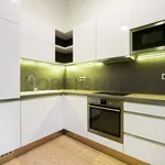 Rent 1 bedroom apartment of 45 m² in Brno