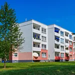 Rent 2 bedroom apartment of 53 m² in Dortmund