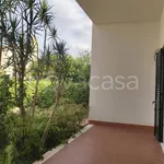 Rent 3 bedroom apartment of 100 m² in Palermo