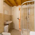 Rent 1 bedroom apartment in florence