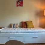 Rent a room in brussels