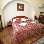 Rent 4 bedroom apartment of 110 m² in Plzeň