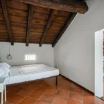 Rent 1 bedroom apartment in Bologna