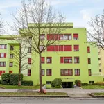 Miete 3 Schlafzimmer wohnung von 71 m² in Yverdon-les-Bains