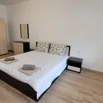 Rent 3 bedroom apartment of 100 m² in Каменица 1