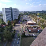 Rent 1 bedroom apartment of 39 m² in Katowice