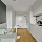 Rent 1 bedroom apartment of 323 m² in Vienna