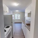 Rent 1 bedroom apartment in London