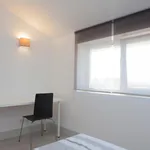 Rent 4 bedroom apartment in Coimbra