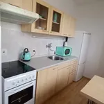 Rent 1 bedroom apartment in České Budějovice