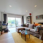 Rent 1 bedroom apartment in Hasselt