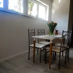 Rent 1 bedroom apartment of 60 m² in Freiburg im Breisgau