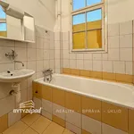 Rent 3 bedroom apartment of 95 m² in Plzeň