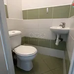 Pronajměte si 3 ložnic/e byt o rozloze 81 m² v Strakonice