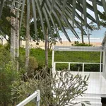 Rent 1 bedroom house of 1 m² in Mission Beach