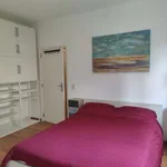 Rent 3 bedroom apartment in brussels