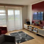 Rent 5 bedroom apartment of 129 m² in Prague