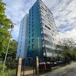 Rent 2 bedroom flat in Manchester