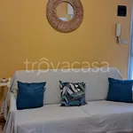 Rent 2 bedroom apartment of 38 m² in Cesenatico