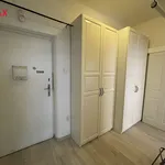 Rent 2 bedroom apartment of 51 m² in Praha 7 - Holešovice