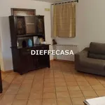 Rent 2 bedroom house of 60 m² in Marsala