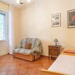 Rent 3 bedroom apartment of 83 m² in Roma