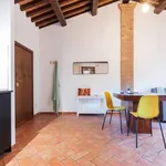 Rent 1 bedroom apartment in Rome