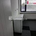 Rent 1 bedroom apartment in Prague