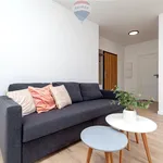 Rent 2 bedroom apartment of 47 m² in Poznan