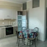 Rent 2 bedroom apartment of 50 m² in Torino