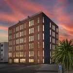 Rent 1 bedroom apartment in Auckland