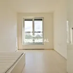 Rent 3 bedroom apartment in Brno