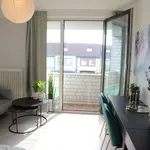 Miete 1 Schlafzimmer wohnung von 24 m² in Bonn