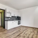 Rent 1 bedroom apartment of 21 m² in Prague