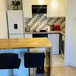 Rent 1 bedroom apartment of 45 m² in dublin