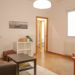 Rent a room in madrid